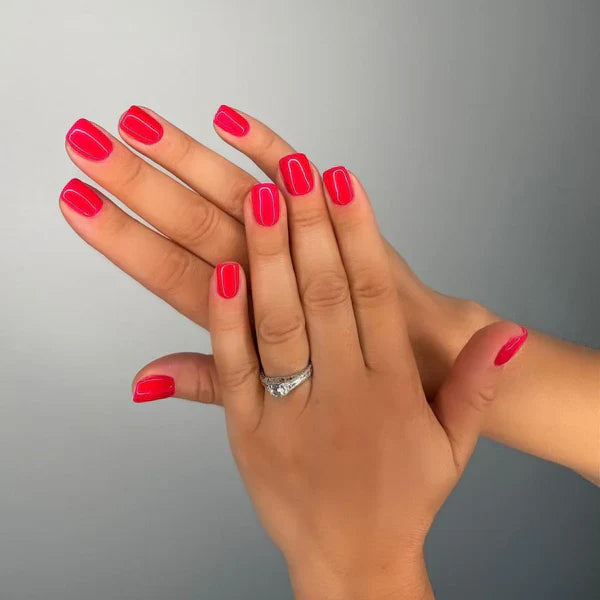 DC Duo Matching Color - #008 NY Islanders